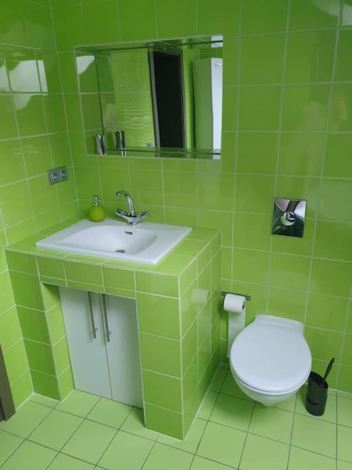 Apartman Radcice 70M2 V Rodinne Vile 리베레츠 외부 사진